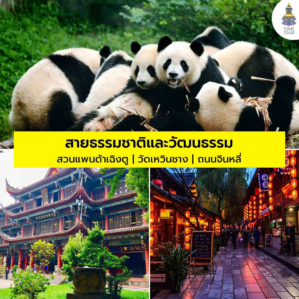 แพลนเที่ยวเฉิงตูสายธรรมชาติและวัฒนธรรม เยี่ยมชมสวนแพนด้า วัดเหวินชู และถนนจินหลี่