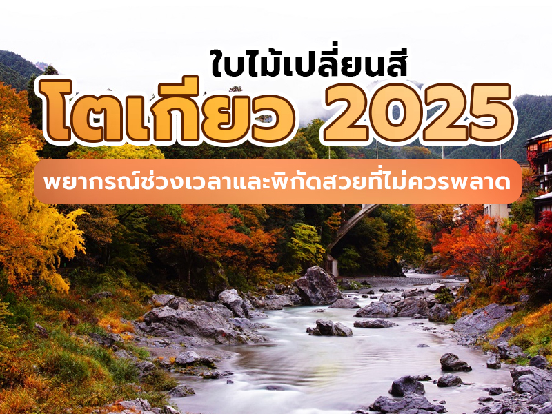 ใบไม้เปลี่ยนสี โตเกียว 2025 พยากรณ์ช่วงเวลา และพิกัดสวยที่ไม่ควรพลาด