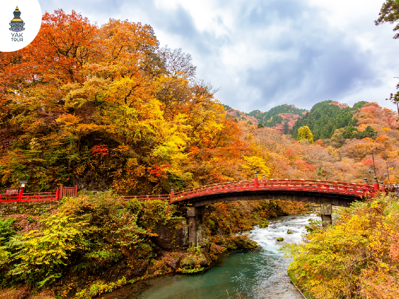 สะพานชินเคียว Nikko ที่เที่ยวฤดูใบไม้เปลี่ยนสี วิวธรรมชาติคลาสสิก