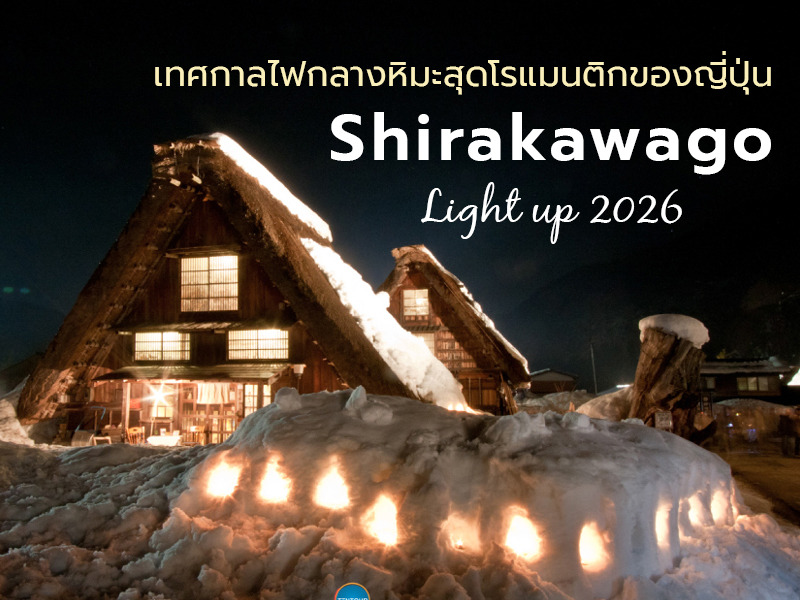 Shirakawago Light Up 2026 เทศกาลไฟกลางหิมะสุดโรแมนติกของญี่ปุ่น