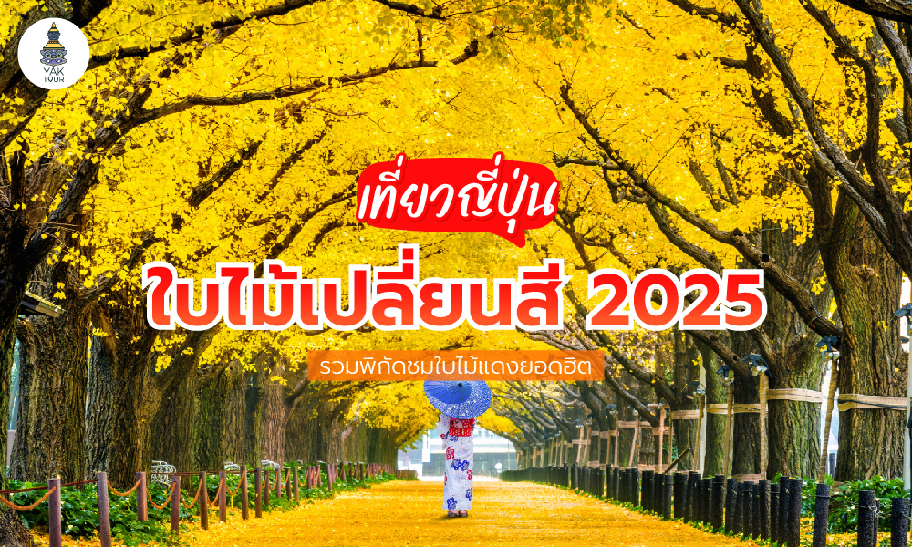 เที่ยวญี่ปุ่น ใบไม้เปลี่ยนสี 2025