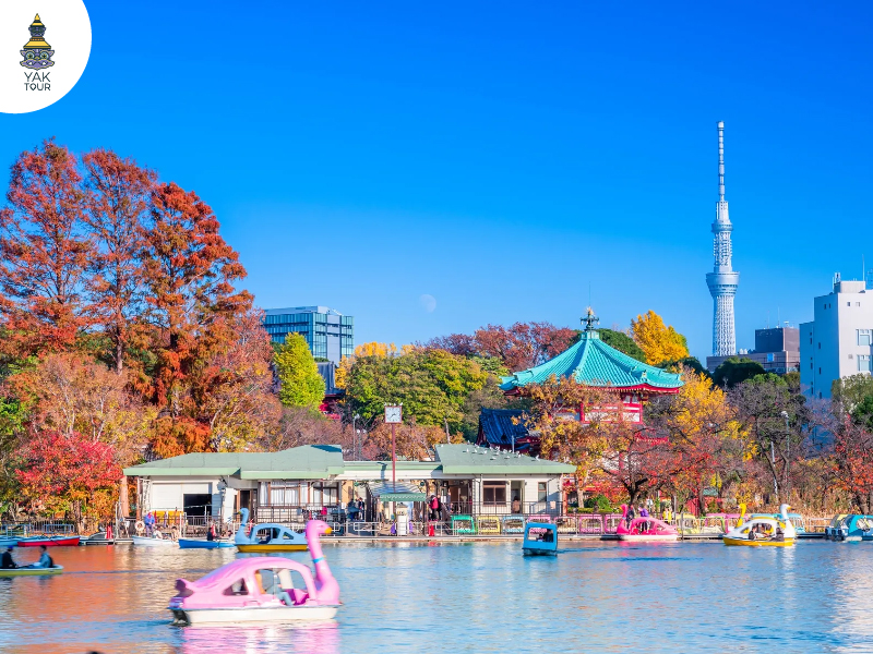 สวนอุเอโนะ โตเกียว ช่วงใบไม้เปลี่ยนสี ฤดูใบไม้ร่วง 2025