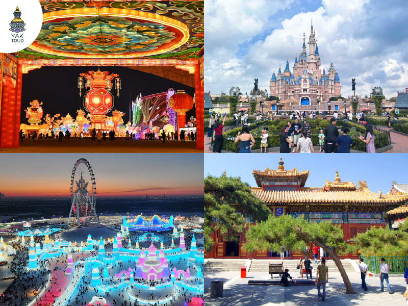ครอบครัวเที่ยวปีใหม่ จีน ฮาร์บิน Lantern Festival Shanghai Disneyland