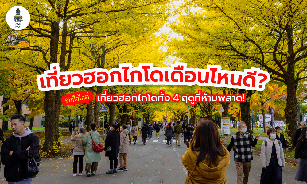 เที่ยวฮอกไกโดเดือนไหนดี ? รวมไฮไลต์เที่ยวฮอกไกโดทั้ง 4 ฤดูที่ห้ามพลาด